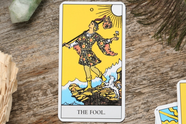 The Fool tarot card with numerous meanings.